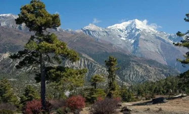 Annapurna Royal Trekking