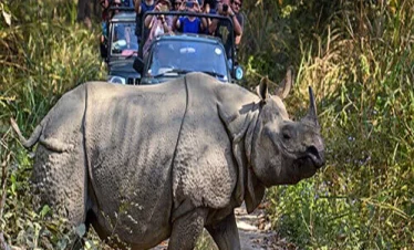 Koshi Tappu Wildlife Reserve
